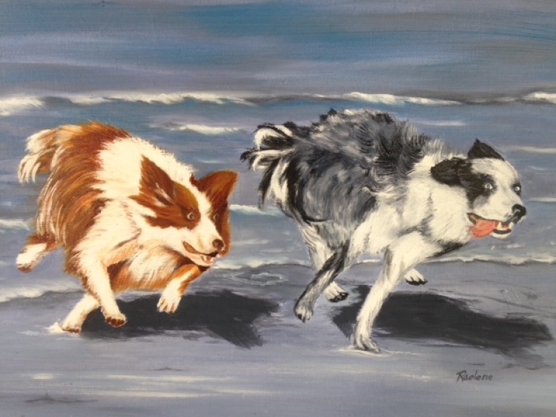 Border Collies Nan and Griff